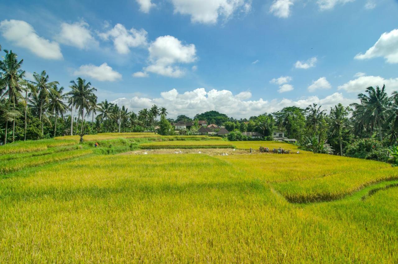 Danakha Villa Ubud Tegallalang  Ngoại thất bức ảnh